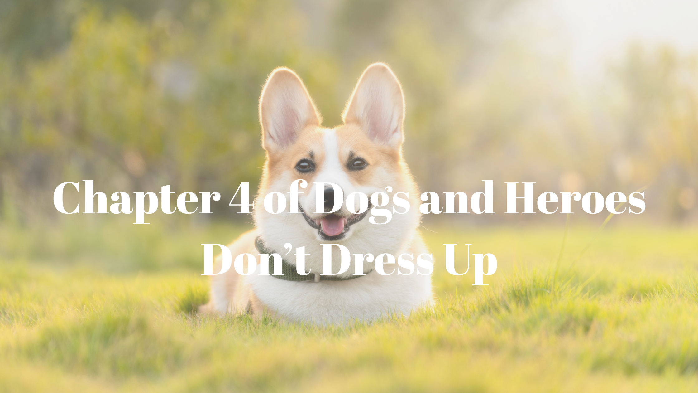 Chapter 4 of Dogs and Heroes Don’t Dress Up
