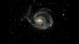 M101BL