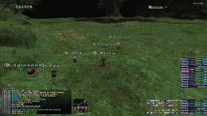 FFXI Command to Move XIVParty Windower