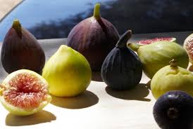 Byadi Figs