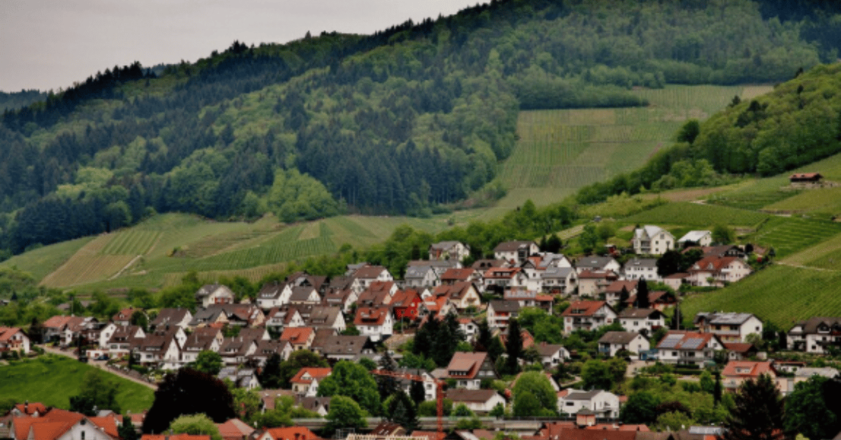 wonsheim